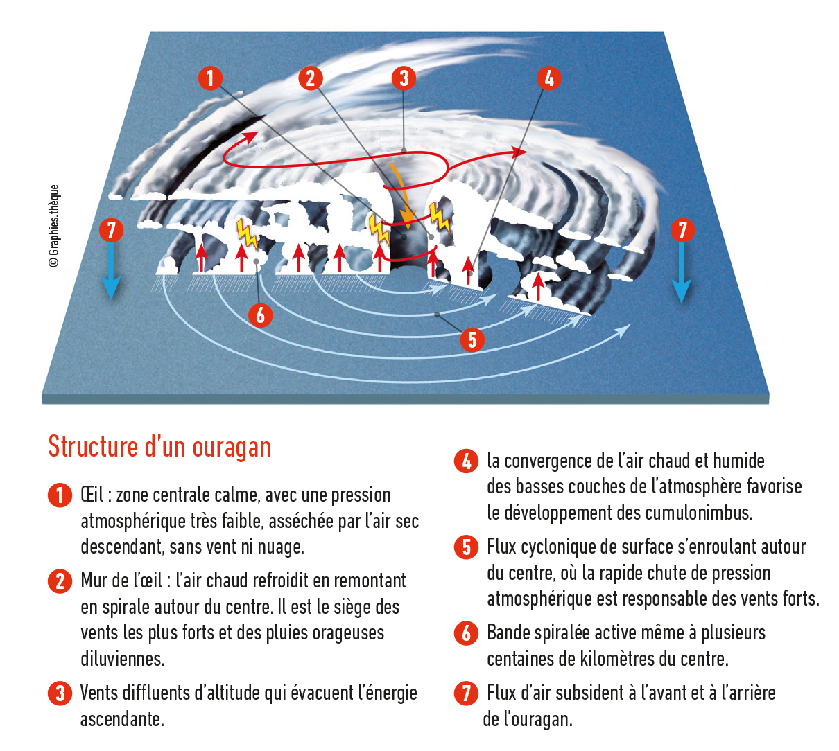 Structure d’un cyclone dans l’hémisphère nord. Reproduit à partir de 