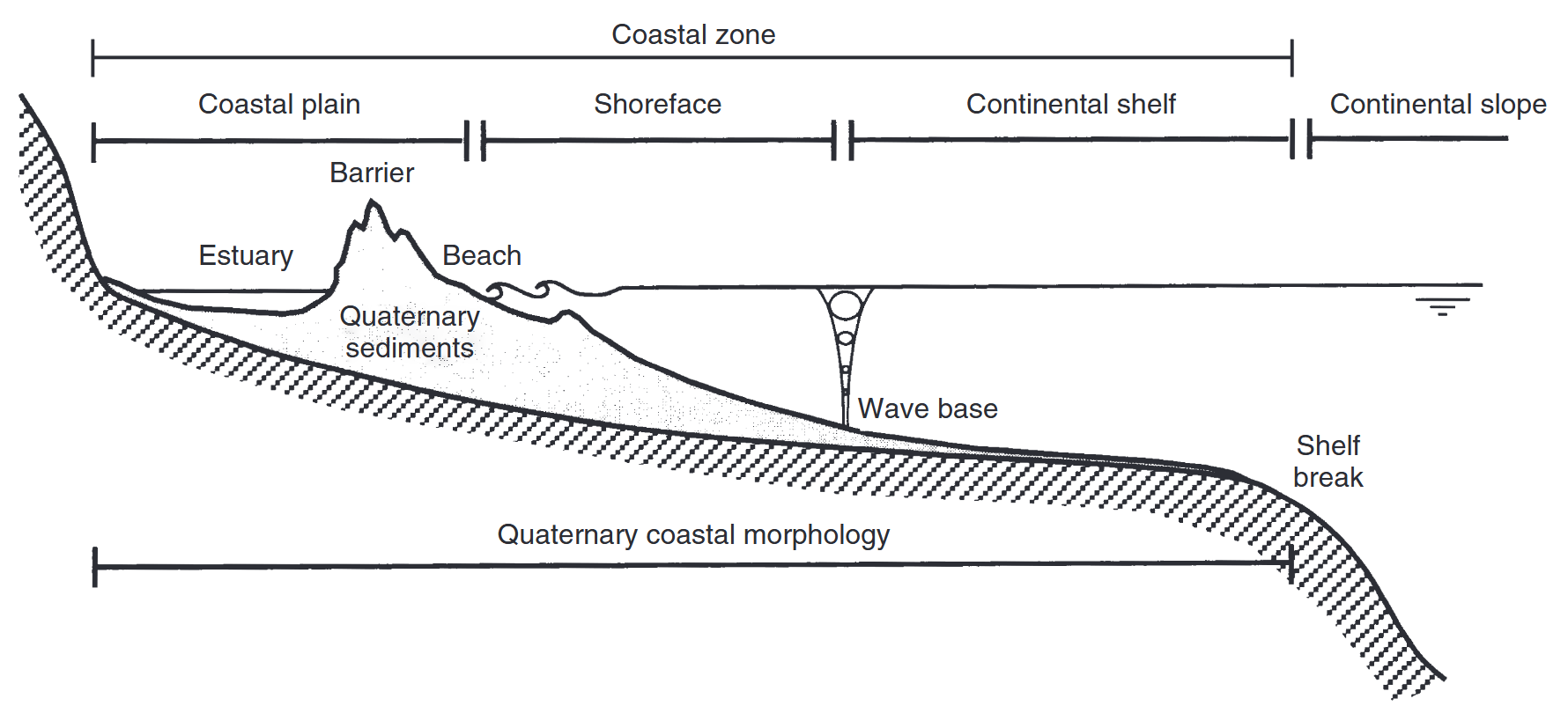Cette figure, issue de  et citant , montre une coupe longitudinale de la zone cotière d’un point de vue géomorphologique.